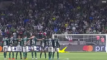 Porco fudendo a galinha