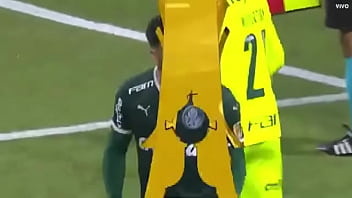 Porco fudendo a galinha