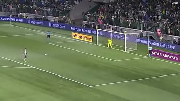 Porco fudendo a galinha