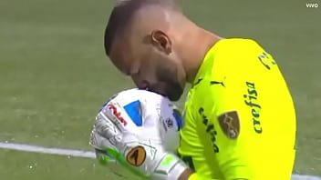 Porco fudendo a galinha