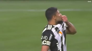 Porco fudendo a galinha