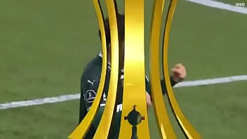 Porco Fudendo A Galinha thumbnail