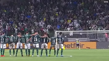 Porco fudendo a galinha