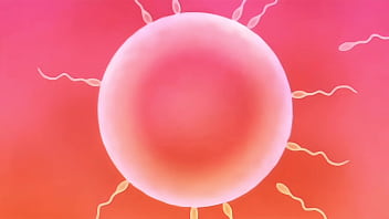 Yakishio lemon impregnated by ugly bastard old man