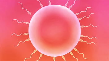 Yakishio lemon impregnated by ugly bastard old man