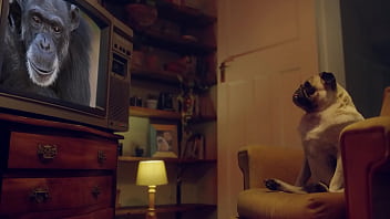 Blowjob in the jacuzzi marika milani gives me a filthy blowjob in a hotel benefit monkey