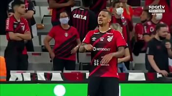 Hulk enraba poodles sem dó nenhum