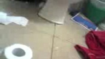 Perrita de nayarit 3