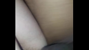 Gato carioca pauzudo e barbie