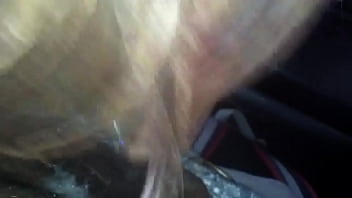 Video bokep part 5033317