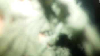 वेरीफ़िकेशन विडियो