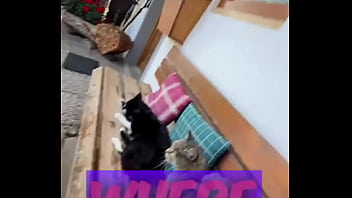 Running with lily lu filmz and the cat makes break time so sweet ️who’s your favorite running companion #runn