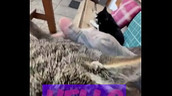 Running with lily lu filmz and the cat makes break time so sweet ️who’s your favorite running companion #runn