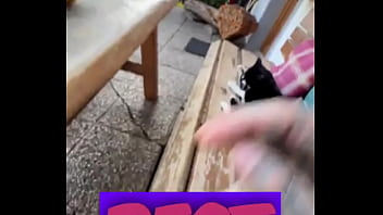 Running with lily lu filmz and the cat makes break time so sweet ️who’s your favorite running companion #runn