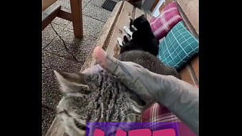 Running with lily lu filmz and the cat makes break time so sweet ️who’s your favorite running companion #runn