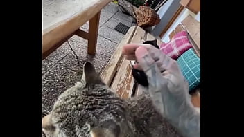 Running with lily lu filmz and the cat makes break time so sweet ️who’s your favorite running companion #runn