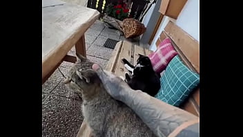 Running with lily lu filmz and the cat makes break time so sweet ️who’s your favorite running companion #runn Running with lily lu filmz and the cat makes break time so sweet ️who’s your favorite running companion #runn