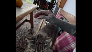 Running with lily lu filmz and the cat makes break time so sweet ️who’s your favorite running companion #runn Running with lily lu filmz and the cat makes break time so sweet ️who’s your favorite running companion #runn