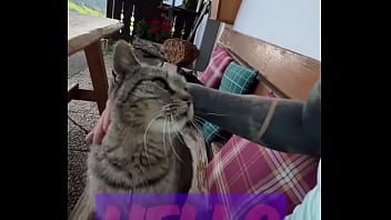 Running with lily lu filmz and the cat makes break time so sweet ️who’s your favorite running companion #runn