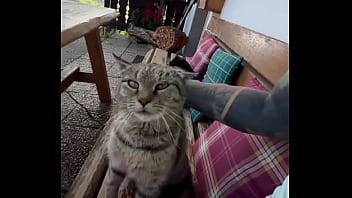 Running with lily lu filmz and the cat makes break time so sweet ️who’s your favorite running companion #runn Running with lily lu filmz and the cat makes break time so sweet ️who’s your favorite running companion #runn