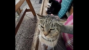 Running with lily lu filmz and the cat makes break time so sweet ️who’s your favorite running companion #runn