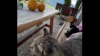 Running with lily lu filmz and the cat makes break time so sweet ️who’s your favorite running companion #runn