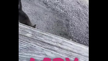 Running with lily lu filmz and the cat makes break time so sweet ️who’s your favorite running companion #runn