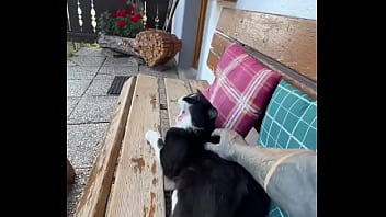 Running with lily lu filmz and the cat makes break time so sweet ️who’s your favorite running companion #runn