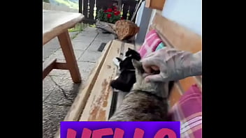 Running with lily lu filmz and the cat makes break time so sweet ️who’s your favorite running companion #runn