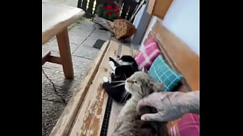 Running with lily lu filmz and the cat makes break time so sweet ️who’s your favorite running companion #runn