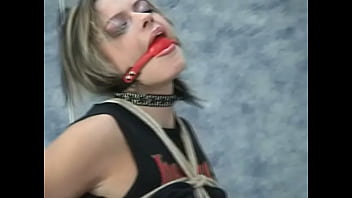 The bitch needs discipline