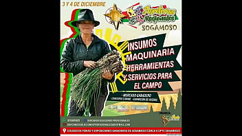 Agro melones gigantes