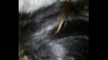 Celebración de año nuevo