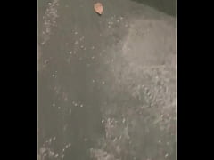 Play MP4 - Things I do for free to stay warm when the weather gets cold such as wearing long pants with nuts hanging out of them because polecats love nuts