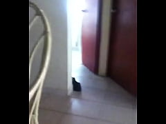 Play MP4 - trim&period;pylJGz&period;MOV