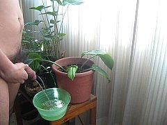 Play MP4 - Meando en la sala