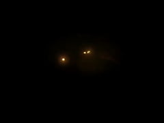 Play MP4 - Kiss Patricia Anal scene 2nd Cam angles  1 HOUR BTS BONUS FOOTAGE