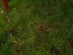 Play MP4 - Kinky brunette takes a big cock in her anal outdoors