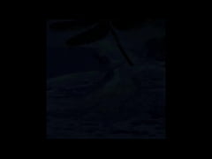 Play MP4 - Dark Lantern Entertainment Presents 'The Dragonfly' 'The Scottish Highlands'