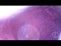 Play MP4 - Travel inside my huge Ass Cave