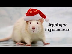 Play MP4 - Roger Virre&rsquo;s Christmas special 2020