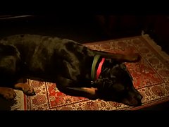 Play MP4 - Scratch&colon; Sexy Nude Blonde Bath