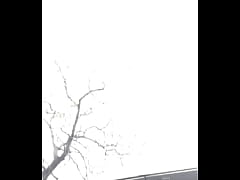 Play MP4 - trim&period;3C6CE56E-20FA-41E9-A7C1-06764107A9A4&period;MOV