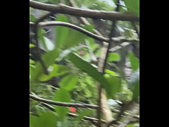 Play MP4 - Already in LOVE with Bali